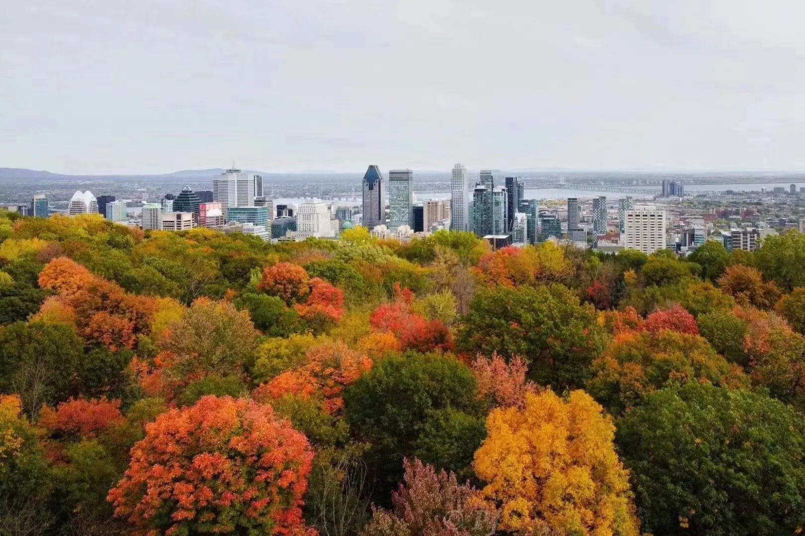 现在可以去枫叶国吗,枫叶国的真实生活