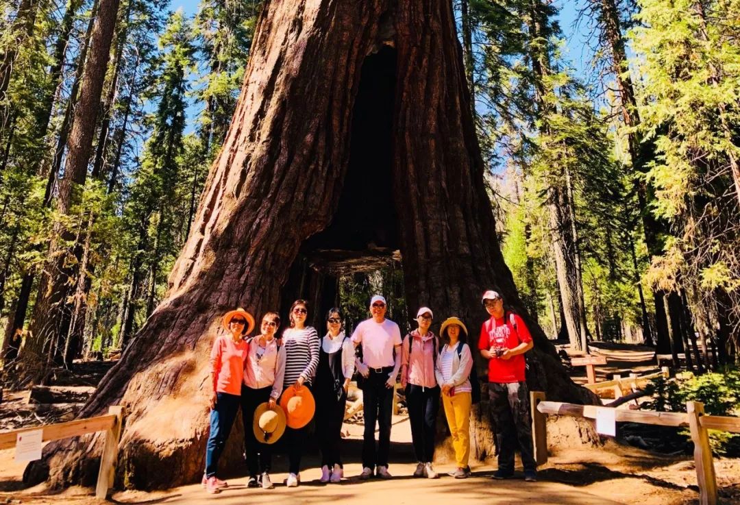 厦门市优山美地,优山美地推荐