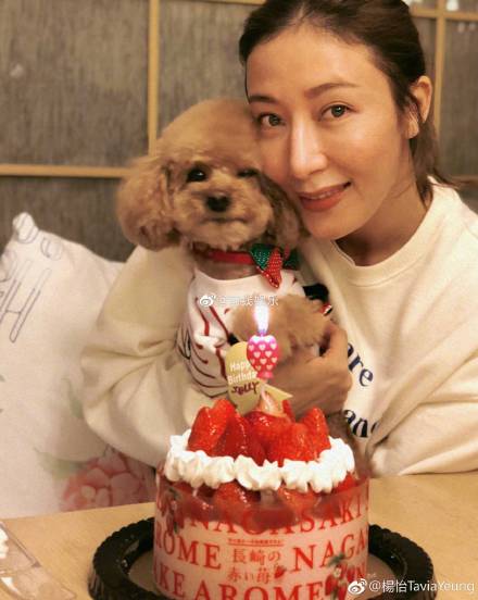 杨怡凭哪部剧获tvb视后,杨怡当了四年的龙套