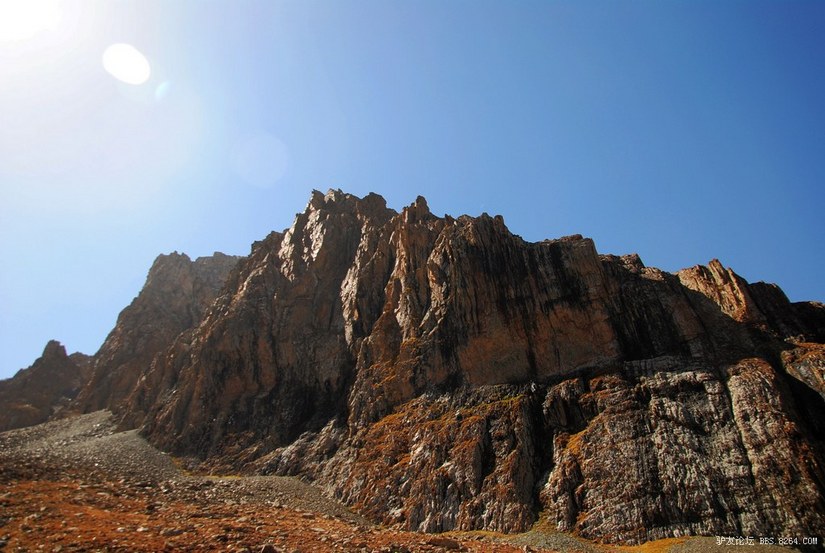 狼c调简谱教唱,狼c