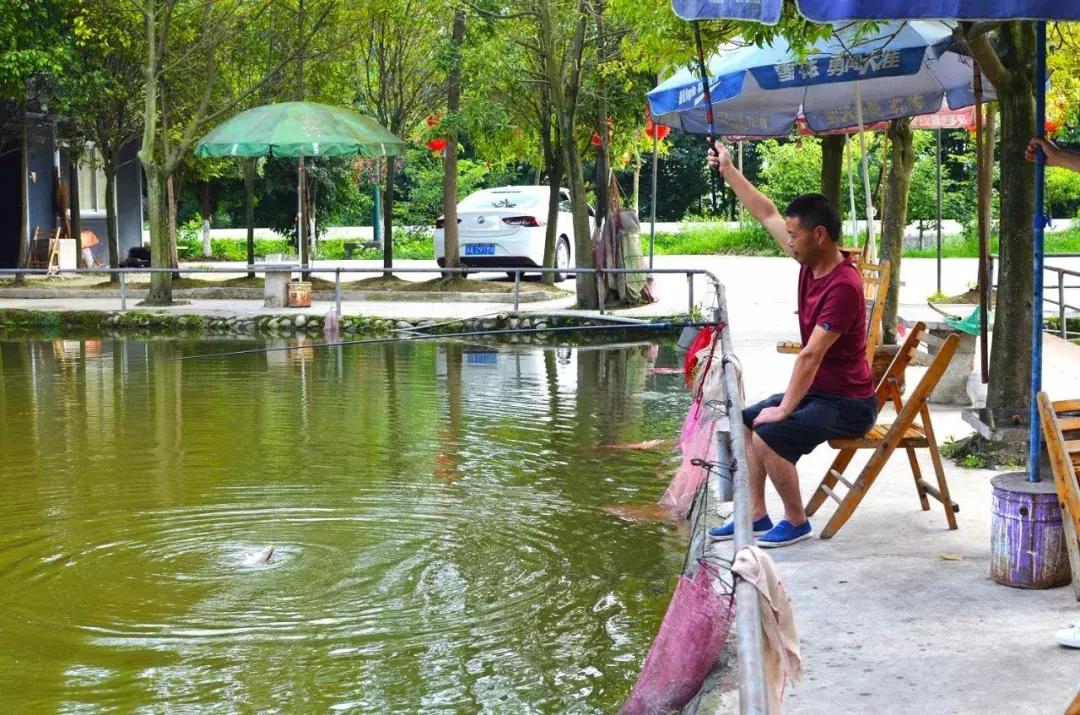 都江堰景区钓鱼地点推荐,都江堰垂钓好去处