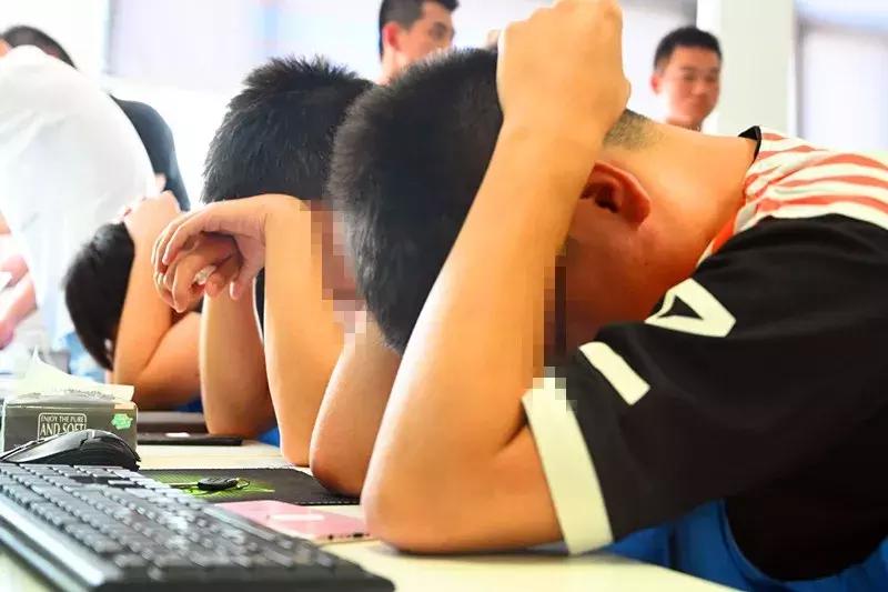 虫草姑娘卖茶被骗,虫草姑娘卖茶妹