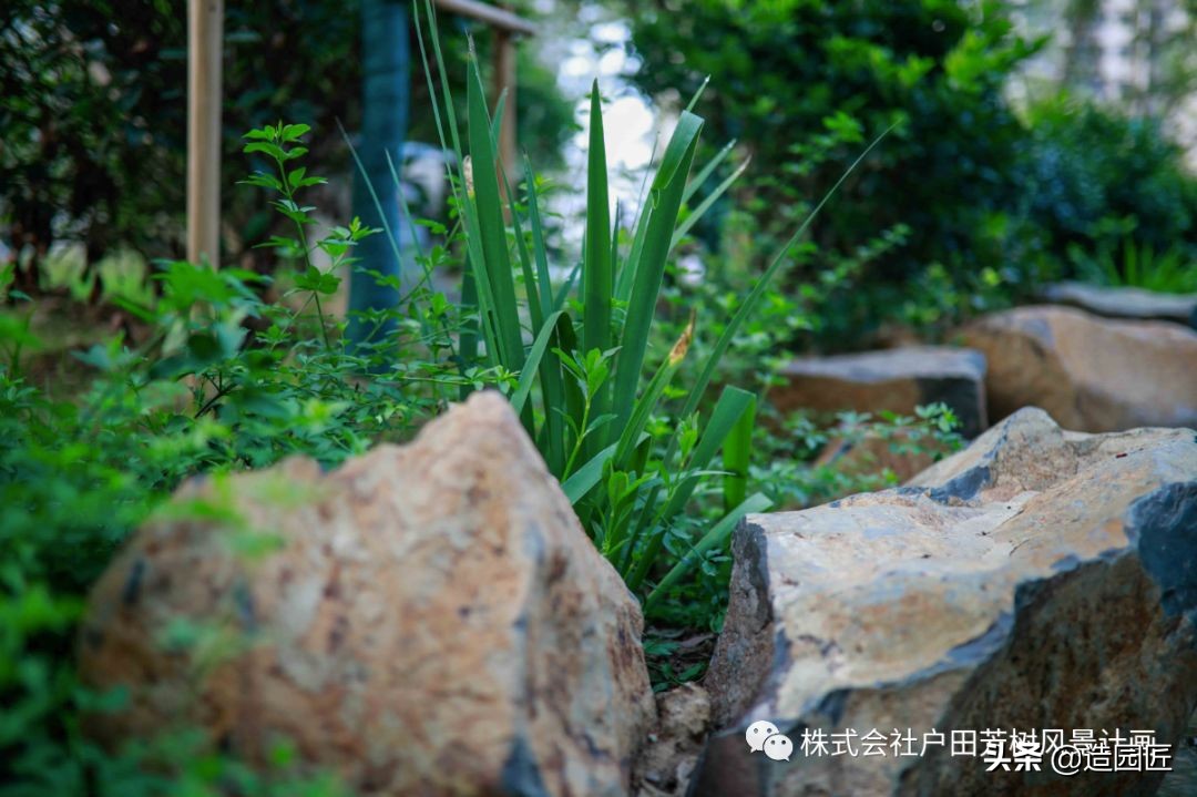 无锡海岸城郦园平面布置,无锡海岸城郦园二期在哪