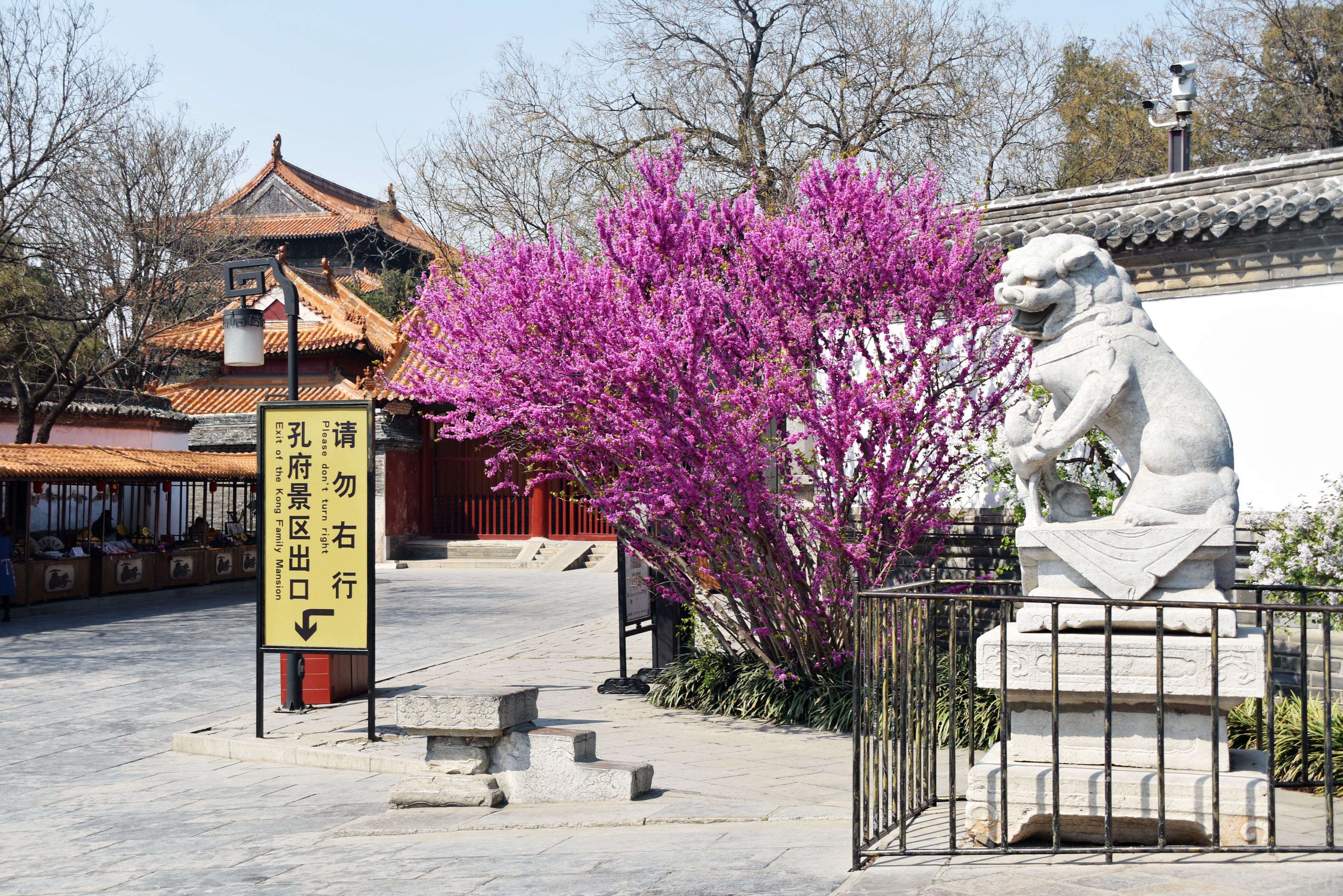 孔府里有一幅《戒贪图》,大义凛然,用心良苦,大家知道吗?