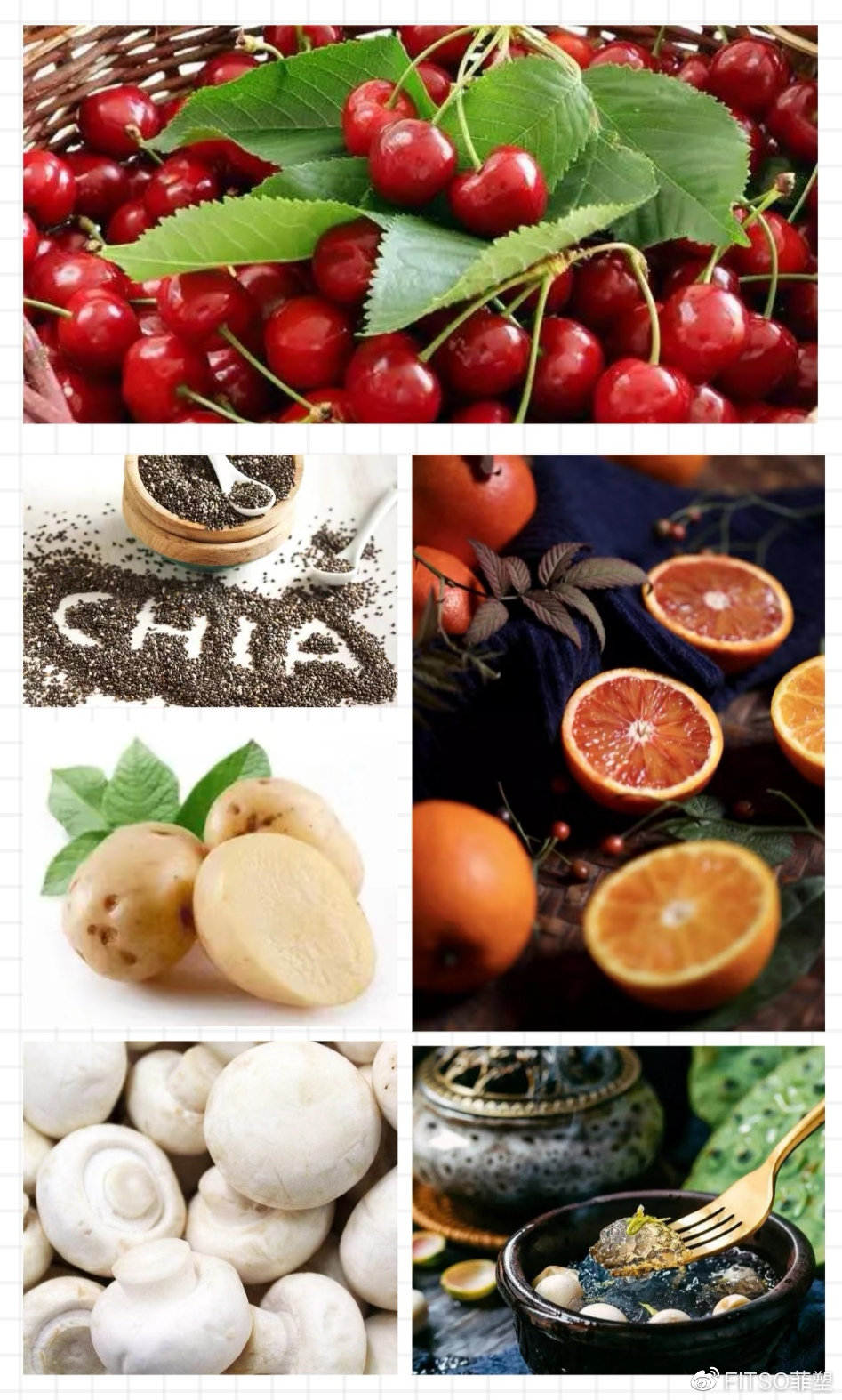 菲塑是一个怎样的品牌,菲塑官网