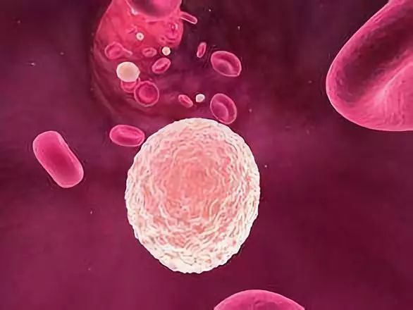 一篇文章教你读懂体检表上的血常规，超实用的血液常识来啦