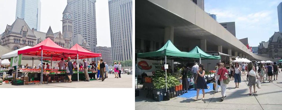 多伦多最有名的市场,在多伦多仓储式超市购物