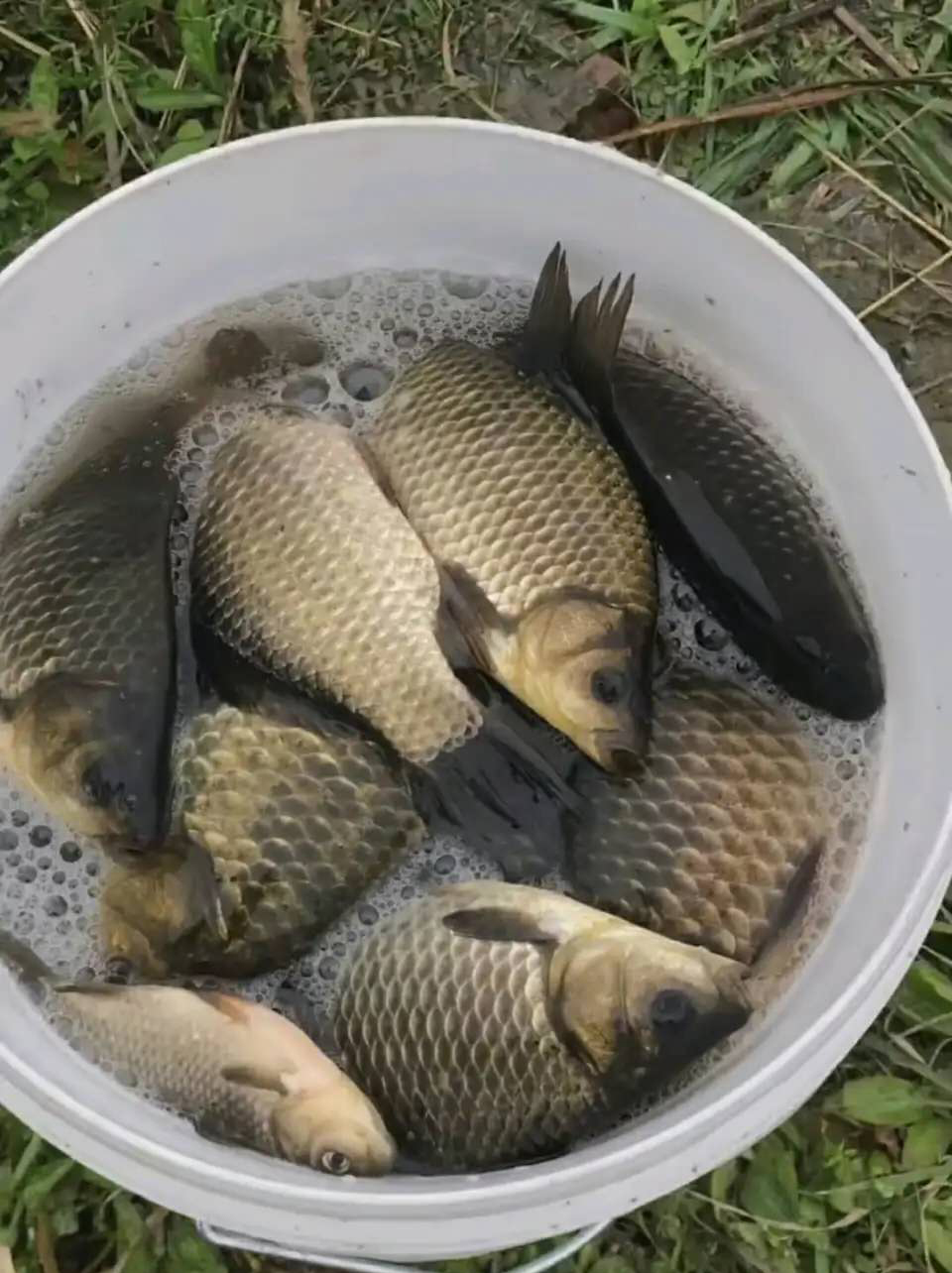 你用过哪些鱼竿,你都用过哪些产品