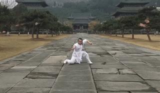 武术博大精深螳螂拳传人展功力,螳螂拳名家有哪些