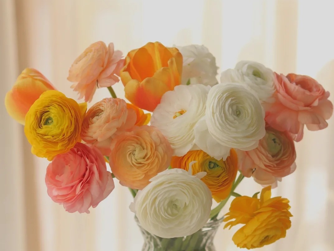 蓝色花花花语,花语是我喜欢你的花