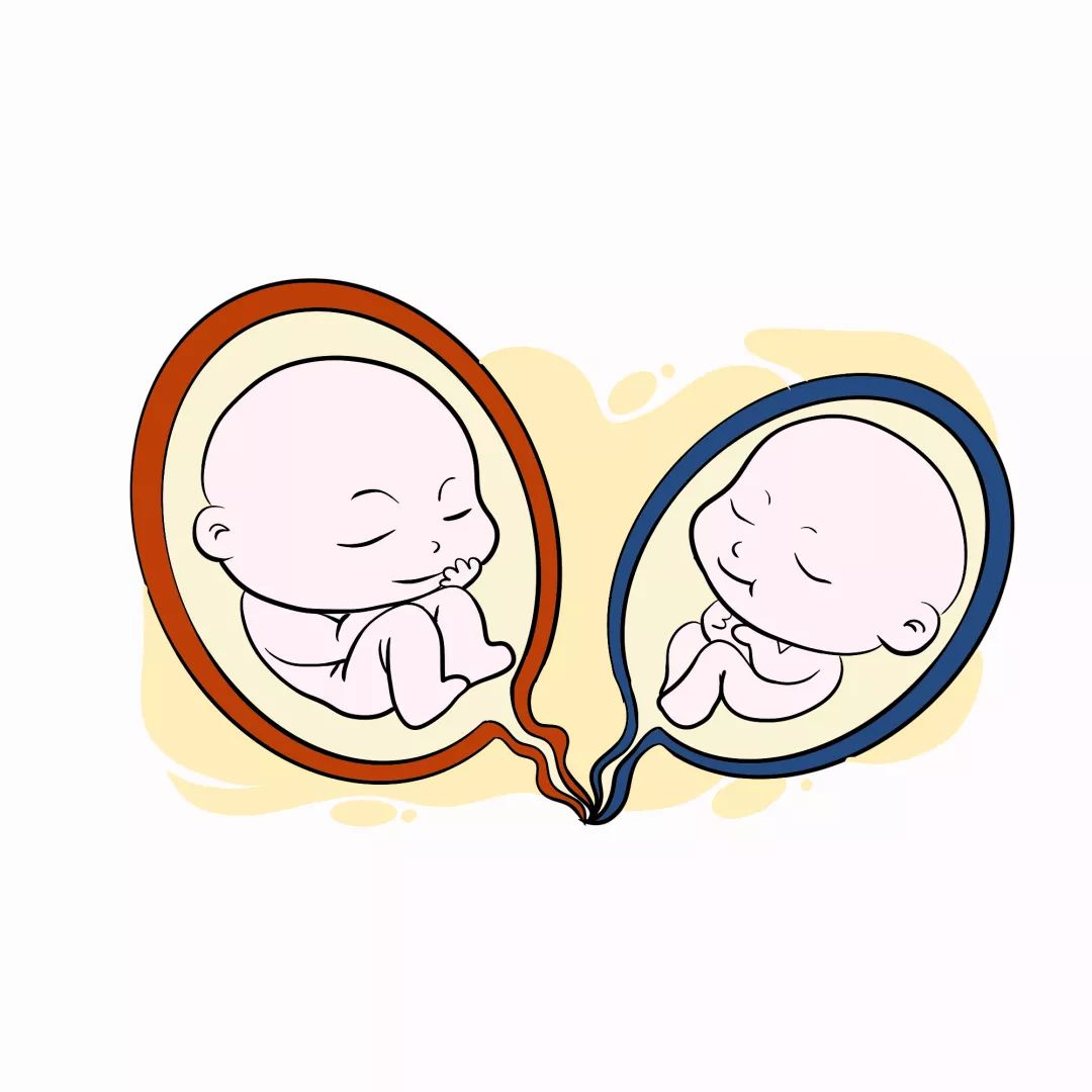 双胞胎孕妇大揭秘,双胞胎的深度解析