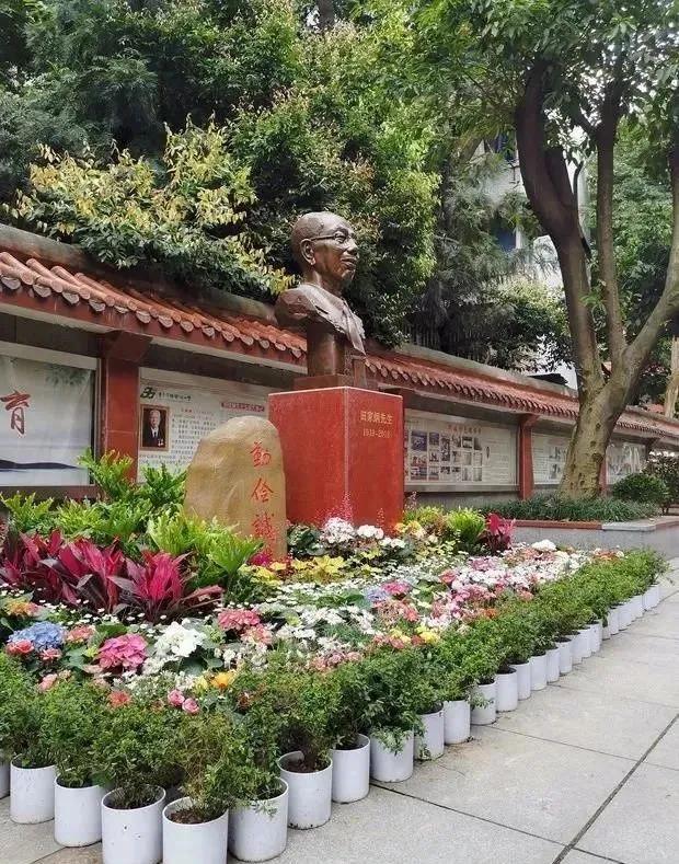 重庆巴南中学是重庆市重点中学吗,重庆市主城中学梯队排序