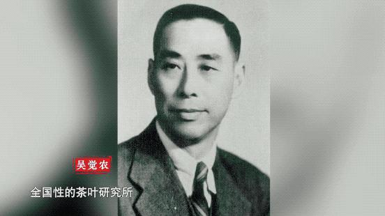 魅力中国城武夷山制茶师,魅力中国城武夷山