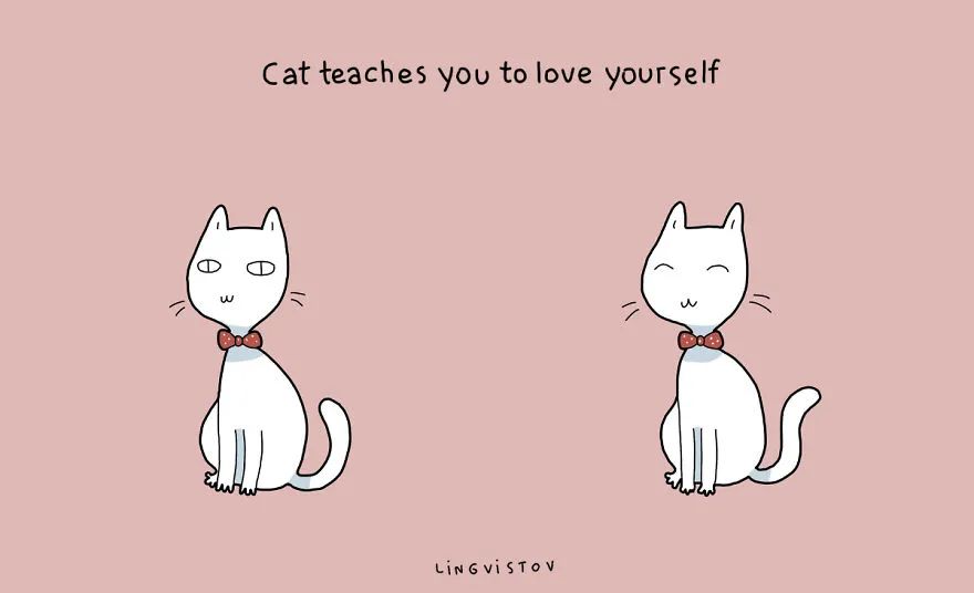 100张可爱猫咪图,超可爱的猫咪画法