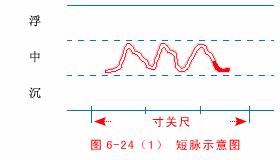 中医把脉入门必背口诀翻译,把脉入门必背口诀粤语版