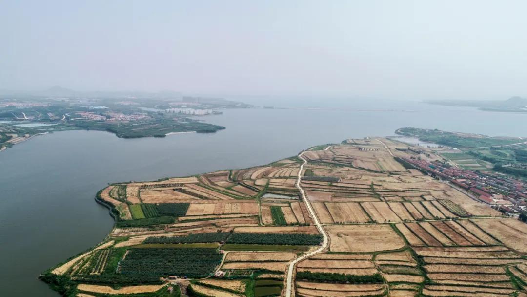 高质量发展项目清单,高质量发展项目汇报