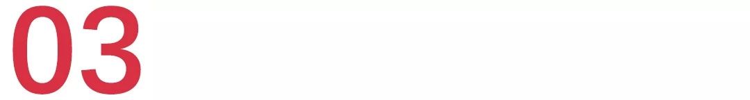 新瑞鹏深度分析,新瑞鹏和佳雯