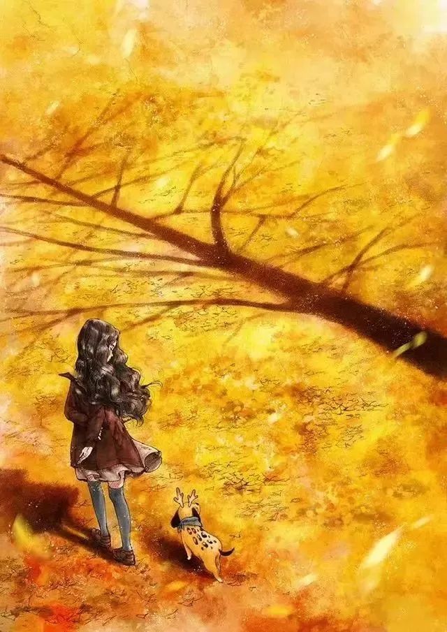 描写外貌优美句子加赏析,描写外貌的佳句100句