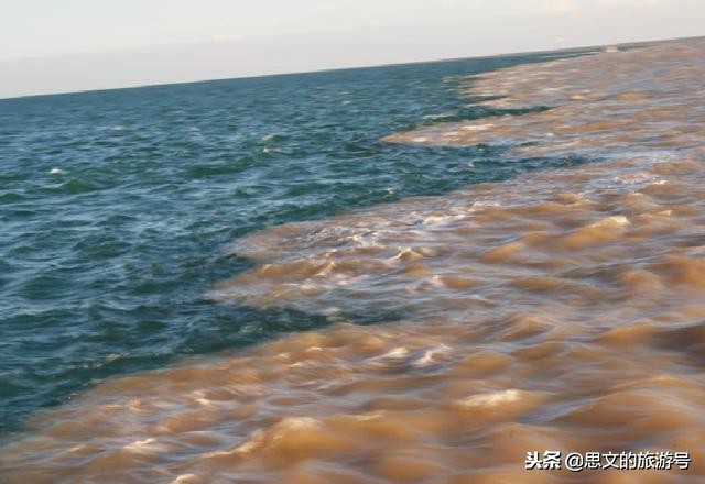 东营黄河入海口风景图,东营黄河入海口壮观