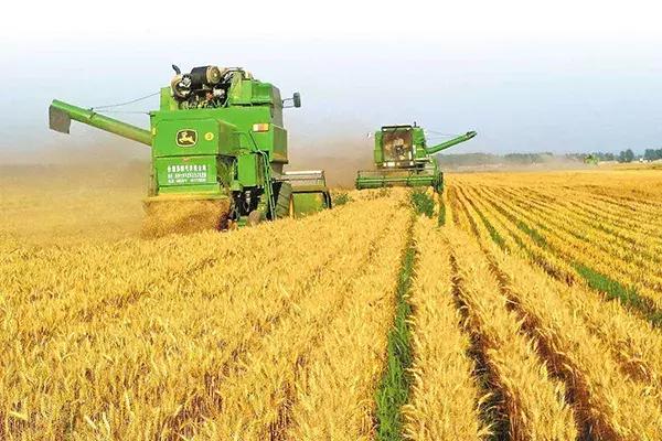 该如何选水稻、玉米、小麦、大豆种子，看这里！