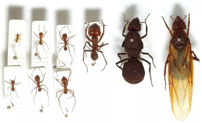 这里是蚂蚁农场，我种田的地方！