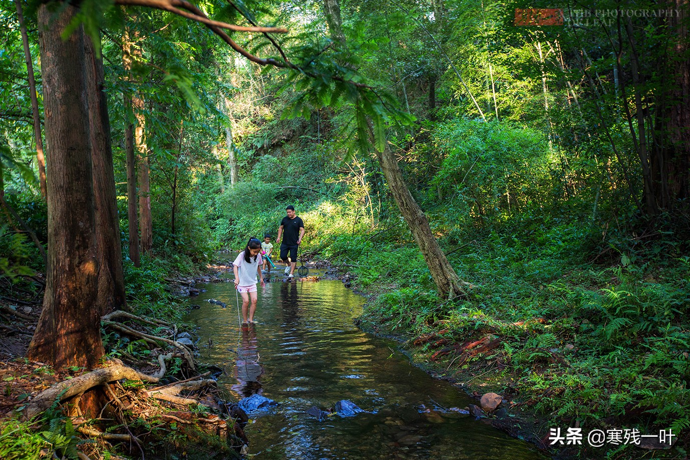 杭州当地人推荐的景点,杭州人避暑去哪