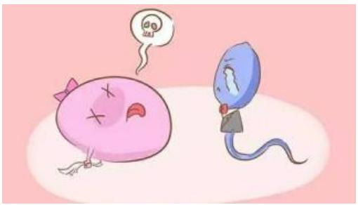 卵巢早衰卵子质量不好怎么怀孕,卵巢早衰试管吃什么提高卵子质量