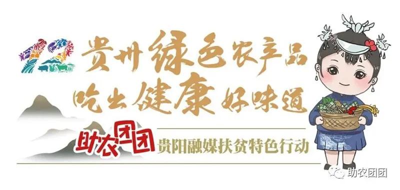 贵州助农团团最新视频,助农团团直播带货