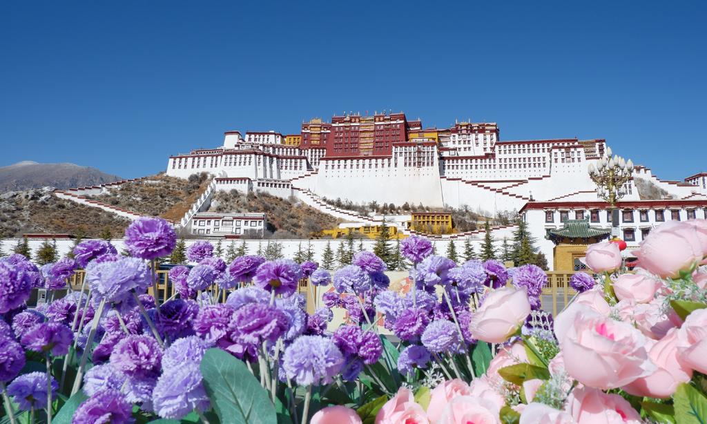 坐公交出国,坐公交可以环游中国么