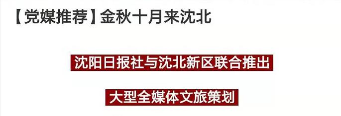 「飞阅大沈阳」瞰沈北：金秋赏美景沈北欢迎你