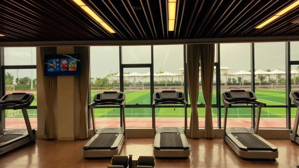 游学冬令营2024,游学冬令营活动