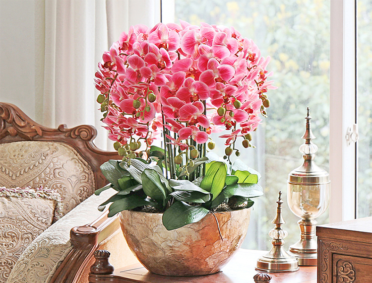 现在生活太方便了,还养什么花啊,假花都能直接上墙了!来个花藤