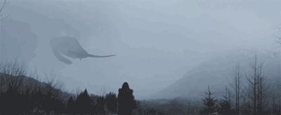 庄子逍遥游北冥有鱼译文,庄子逍遥游原文全篇