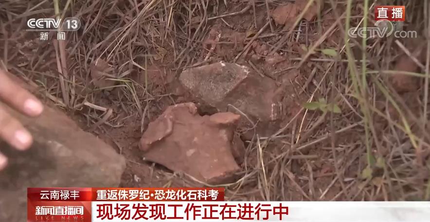 侏罗纪史前动物与人类和平共处,侏罗纪遗留下的动物有哪些