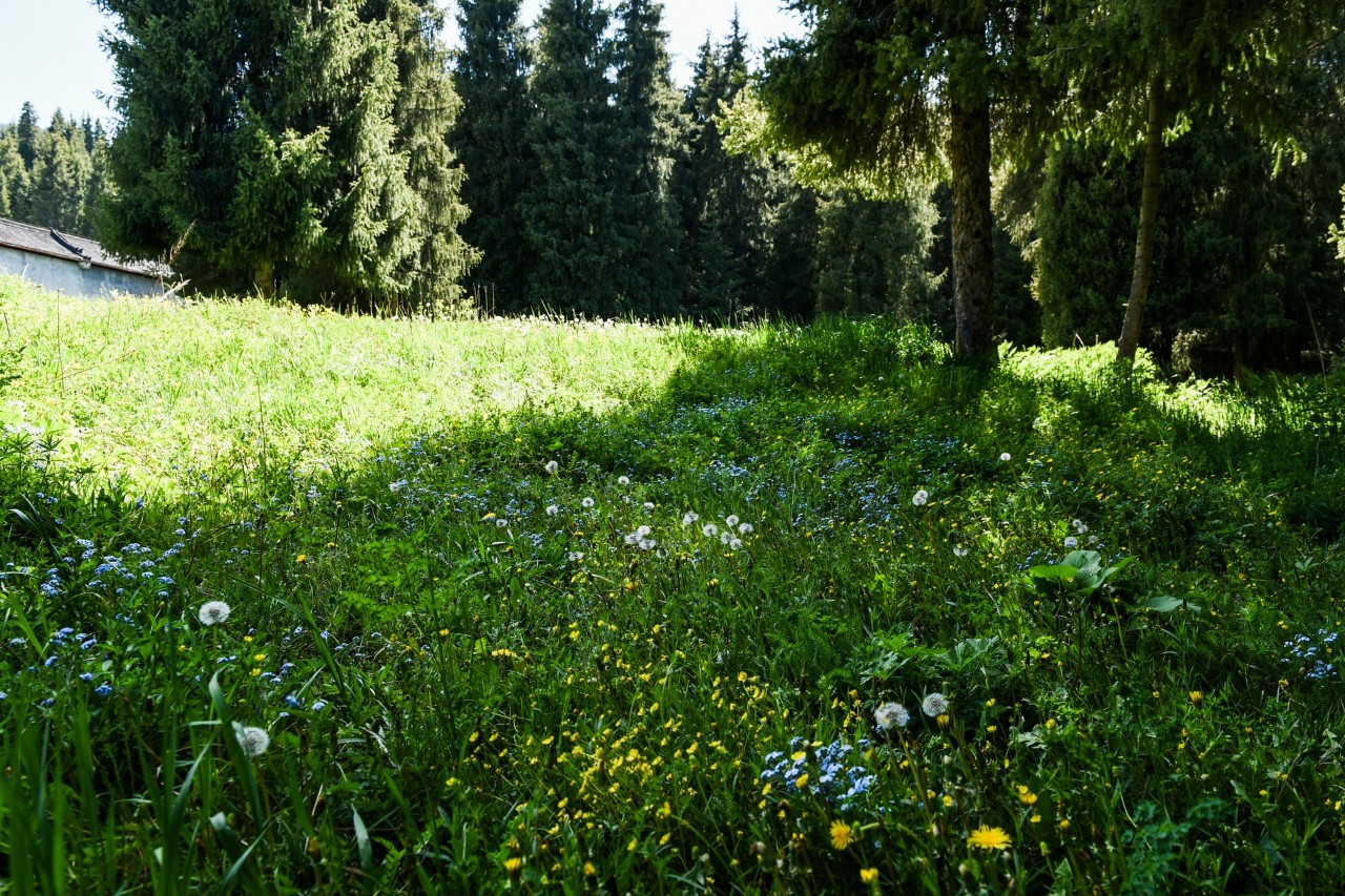 你永远不会体会到*疆新**公路的风情万种，除非你亲自自驾到那里！