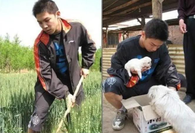 国乒禁赛梗,国乒谈消极比赛的处罚