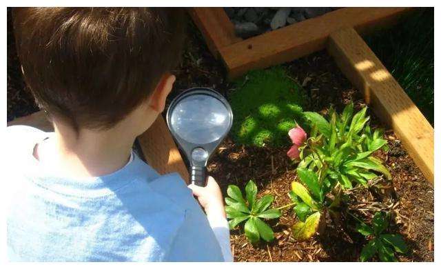 清华教授教育孩子的十句话,清华校长每天四句话改变孩子一生