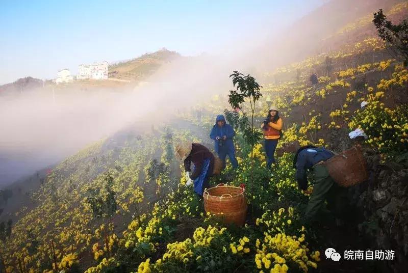 皖南白际旅游攻略图,皖南大峡谷一日游最佳路线