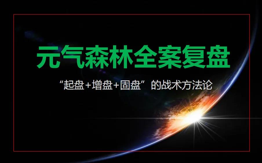 元气森林总结与建议,元气森林战略分析