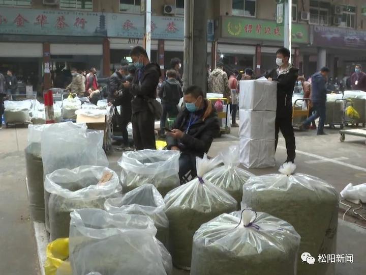 松阳香茶直播会,松阳香茶合作