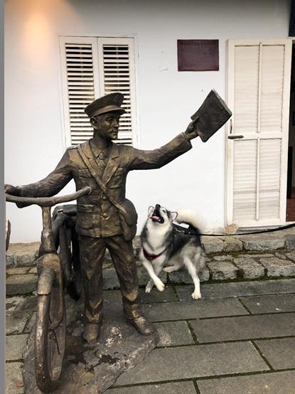 怀孕怎么科学养猫,孕期养狗技术大全