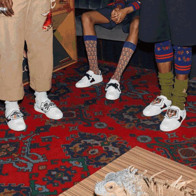 灏忕櫧闉嬭鑵愯殌,灏忕櫧闉嬩綘杩樺湪绌垮悧