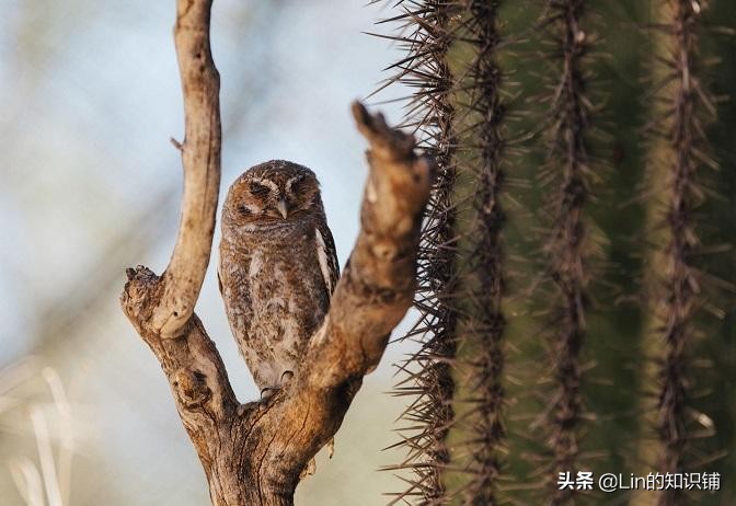 你绝对不知道的十条趣味冷知识,8个会让你耳目一新的冷知识
