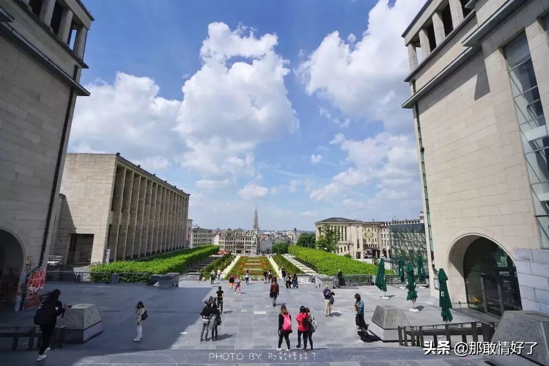 在蓝精灵的故乡邂逅天价纹身*国猪中**，只因我国没有动物保护约束