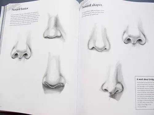 美术资料大全,大象的鼻子简单画法