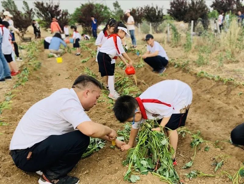 劳动课教学新思路新方法,如何设计一堂有特色的劳动课