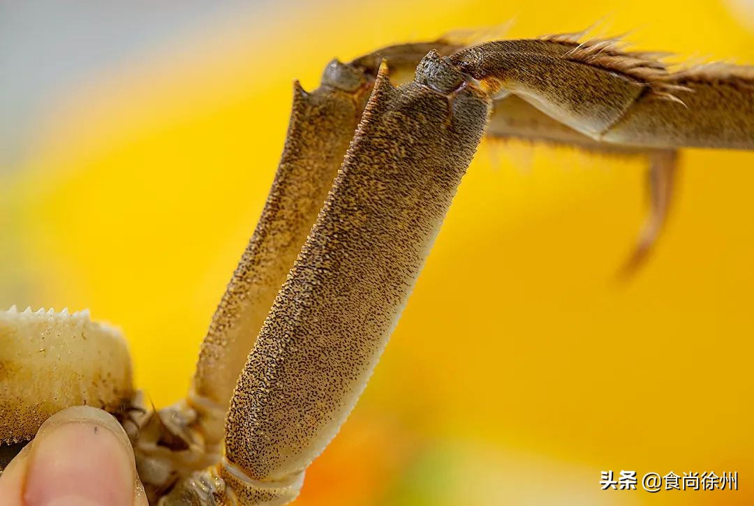 吃阳澄湖大闸蟹地方,吃阳澄湖大闸蟹的最佳地方在哪
