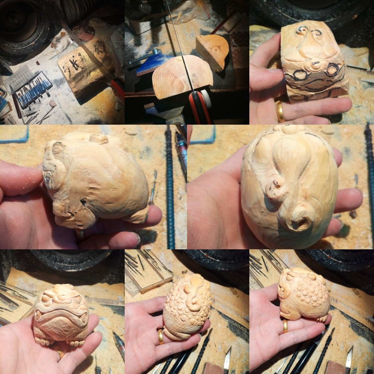 金蟾和金蟾区别,金蟾和蟾蜍是一种动物吗