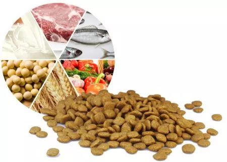 宠物饲料宠物食品,宠物食品需要了解什么