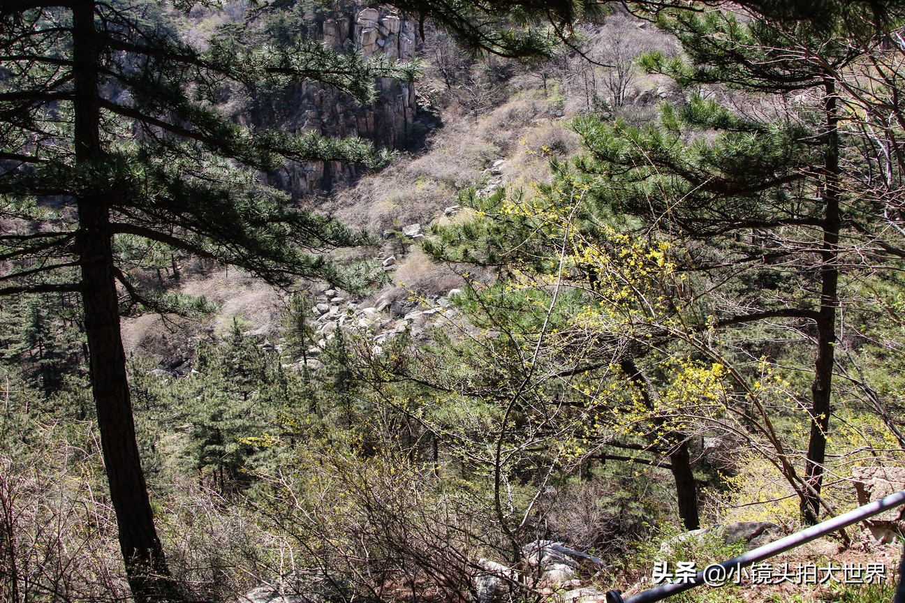 泰安泰山区天烛峰路,山东泰安泰山风景区天烛峰